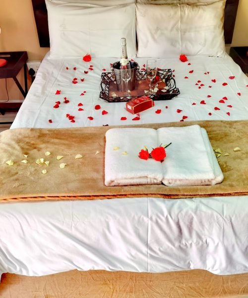 128398416_152792113254397_7261663539294815785_n